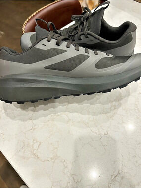 Arc'teryx Aerios FL 2 GTX Gray & Black Athletic Shoes